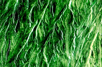 AP 172A